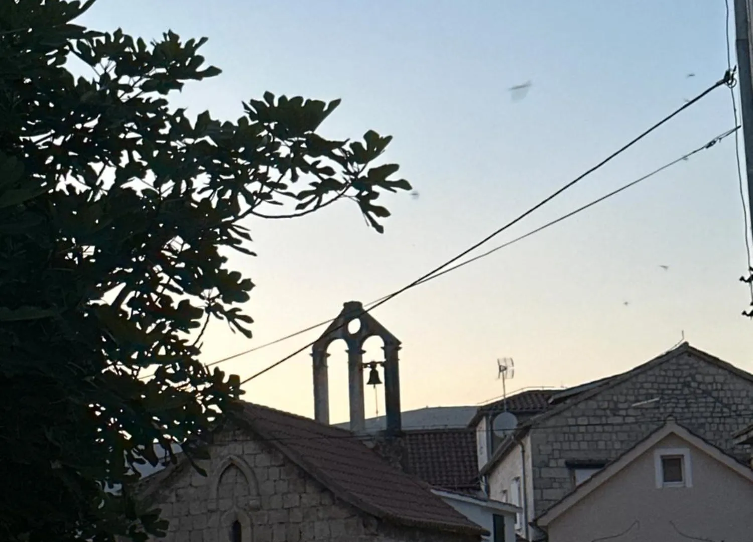 Guest house Villa Dante Trogir